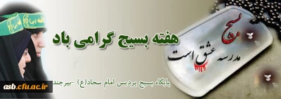 بسیج از منظر امام عاشقان