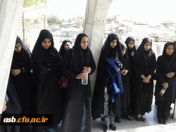 مراسم غبارروبی و عطرافشانی مزار شهدای بیرجند 13