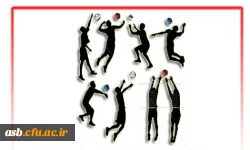 اسامی اعضای انجمن ورزشی پردیس امام سجاد(ع) در سال تحصیلی 96-95 2