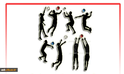 اسامی اعضای انجمن ورزشی پردیس امام سجاد(ع) در سال تحصیلی 96-95 2