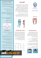 زانوی پرانتزی 2