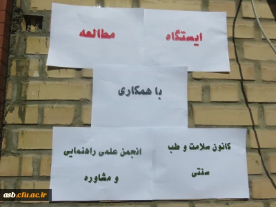 برگزاری ایستگاه مطالعه به مناسبت هفته بهداشت روان با همکاری کانو سلامت و طب سنتی و انجمن علمی راهنمایی و مشاوره پردیس