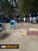 شرکت در جشنواره نوفرست شناسی با دانشجویان رشته مشاوره ورودی 93 3