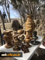 شرکت در جشنواره نوفرست شناسی با دانشجویان رشته مشاوره ورودی 93 11