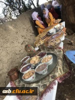 شرکت در جشنواره نوفرست شناسی با دانشجویان رشته مشاوره ورودی 93 13