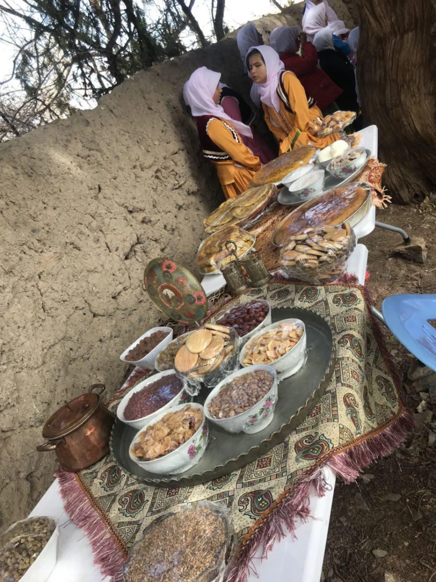 شرکت در جشنواره نوفرست شناسی با دانشجویان رشته مشاوره ورودی 93 13