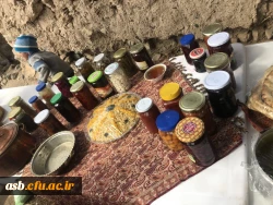 شرکت در جشنواره نوفرست شناسی با دانشجویان رشته مشاوره ورودی 93 14