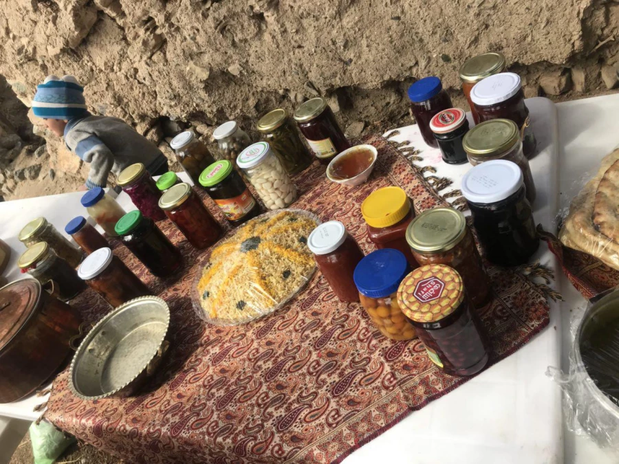 شرکت در جشنواره نوفرست شناسی با دانشجویان رشته مشاوره ورودی 93 14