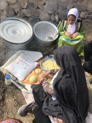 شرکت در جشنواره نوفرست شناسی با دانشجویان رشته مشاوره ورودی 93 17