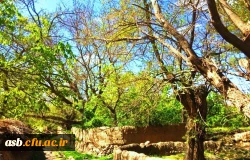 اردوی یک روزه علمی فرهنگی 3