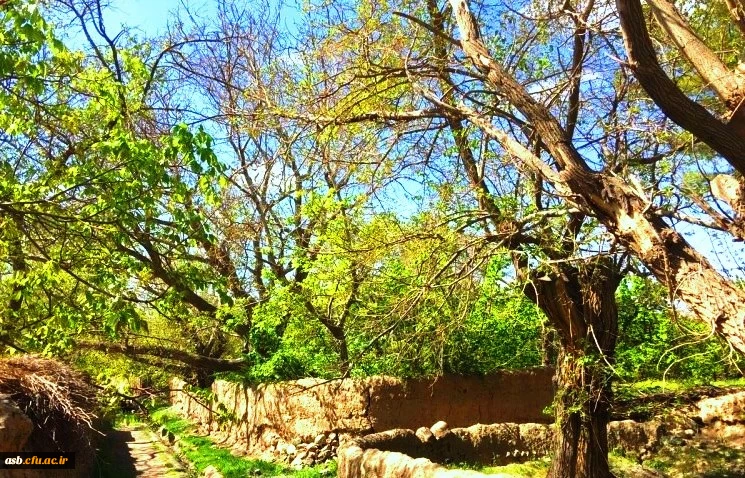 اردوی یک روزه علمی فرهنگی 3