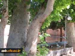 اردوی یک روزه به باغ امیرآباد 7