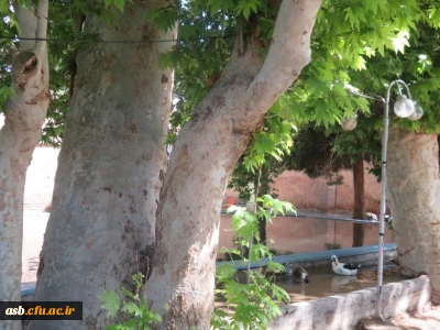 اردوی یک روزه به باغ امیرآباد