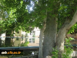 اردوی یک روزه به باغ امیرآباد 8