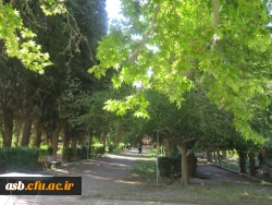 اردوی یک روزه به باغ امیرآباد 9