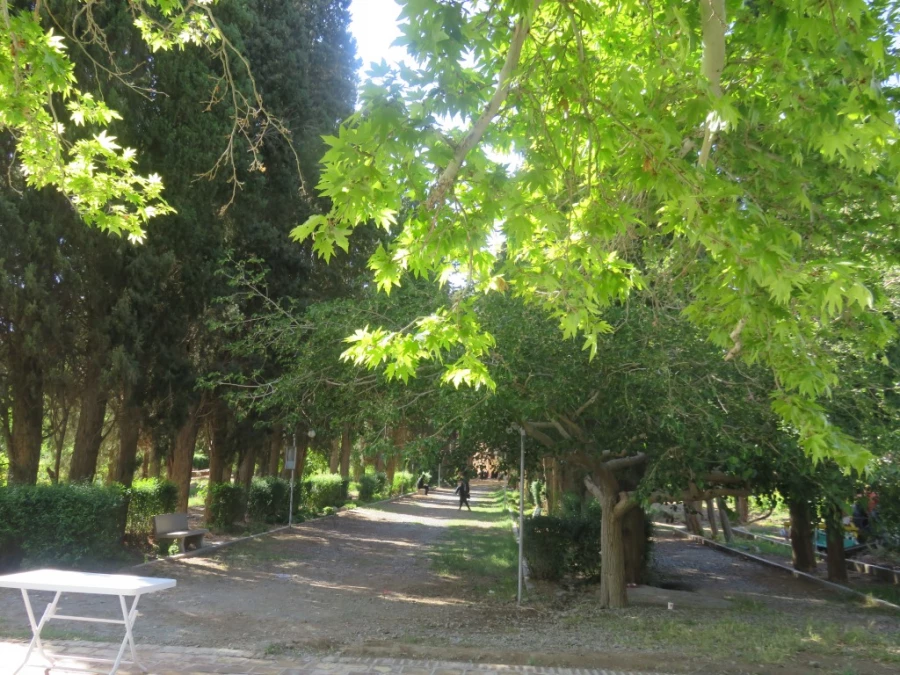 اردوی یک روزه به باغ امیرآباد 9