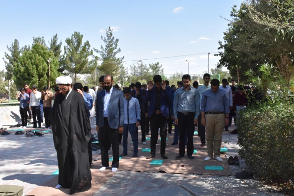 دانشجویان جدید الورود