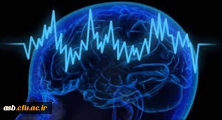 نهمین فراخوان حمایت از طرح های پژوهشی