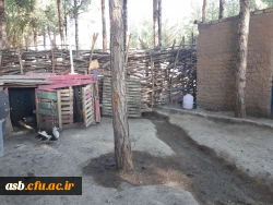 بازدید دانشجویان ورودی 95 پردیس امام سجاد(ع) از مدرسه طبیعت بیرجند 3