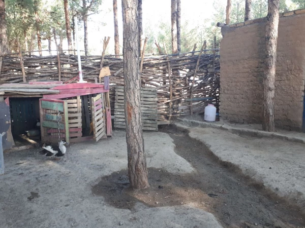 بازدید دانشجویان ورودی 95 پردیس امام سجاد(ع) از مدرسه طبیعت بیرجند 3