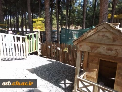 بازدید دانشجویان ورودی 95 پردیس امام سجاد(ع) از مدرسه طبیعت بیرجند 7