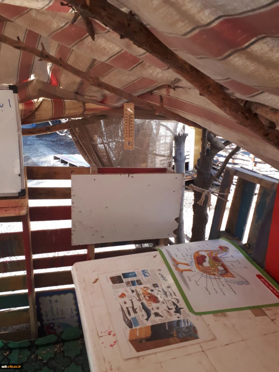 بازدید دانشجویان ورودی 95 پردیس امام سجاد(ع) از مدرسه طبیعت بیرجند 8