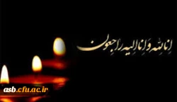 پیام تسلیت به سرکار خانم معینی و سرکار خانم دکتر فرخ رو جلیلی 3