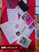 برپایی غرفه استقبال از دانشجومعلمان جدیدالورود در حاشیه نمایشگاه دفاع مقدس 2