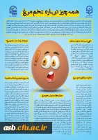 مراسم روز جهانی تخم مرغ در پردیس امام سجاد(ع) 4