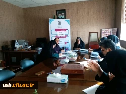 کمیته بهداشت روان 2