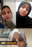 تماس تصویری ریاست پردیس و مسئولین آموزش با نمایندگان گروه ها در خصوص دغدغه های دانشجویی و آموزش مجازی 3