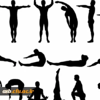 ورزش در خانه 3