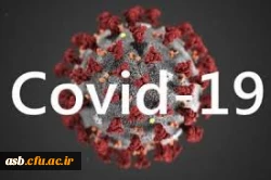خبر نامه کووید 19 4