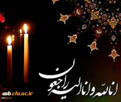 پیام تسلیت 2