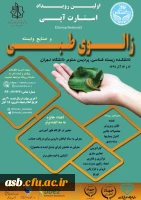 اولین رویداد استارت آپی