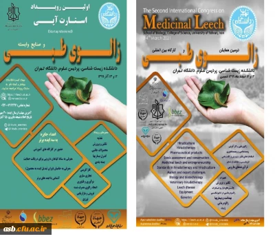 اولین رویداد استارت آپی 