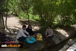 اردوی فرهنگی با حضور تعداد 110 دانشجومعلم در اردوگاه دانش آموزی روستای نوفرست  3