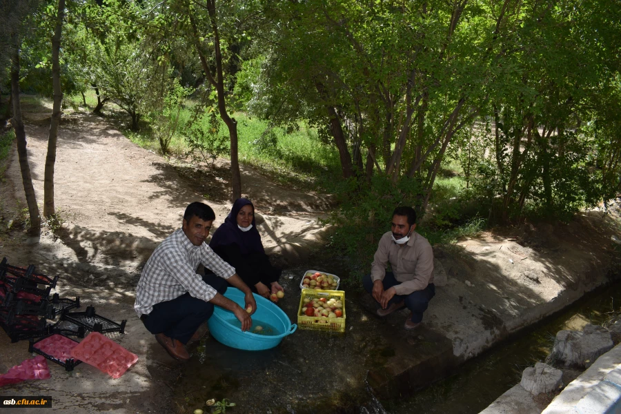 اردوی فرهنگی با حضور تعداد 110 دانشجومعلم در اردوگاه دانش آموزی روستای نوفرست  3
