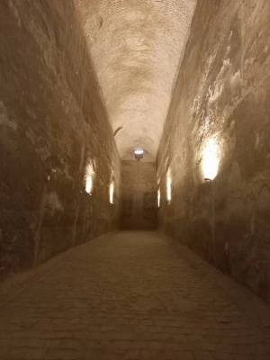 بازدید دانشجویان رشته تاریخ از اماکن تاریخی بیرجند 7