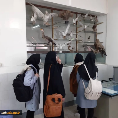 واحد پژوهش پردیس امام سجاد(ع)

بازدید از پژوهش سرا