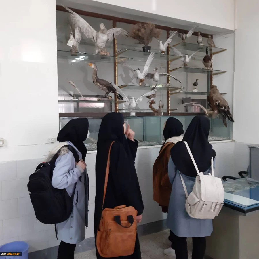 بازدید از پژوهش سرای 2