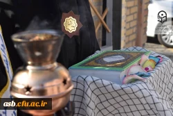 InShot_20241126_135733406