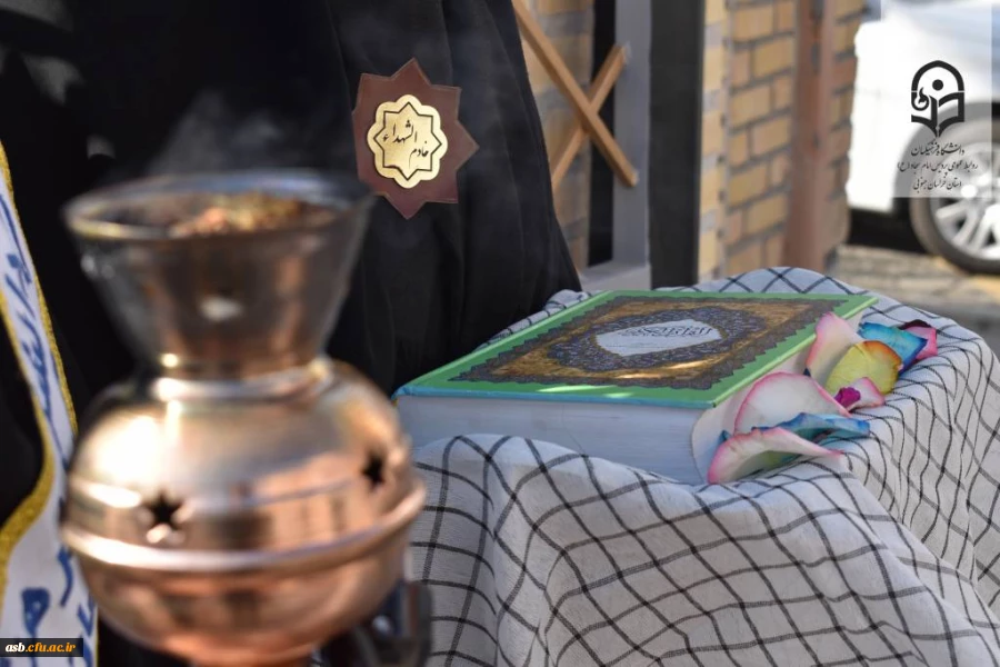 InShot_20241126_135733406