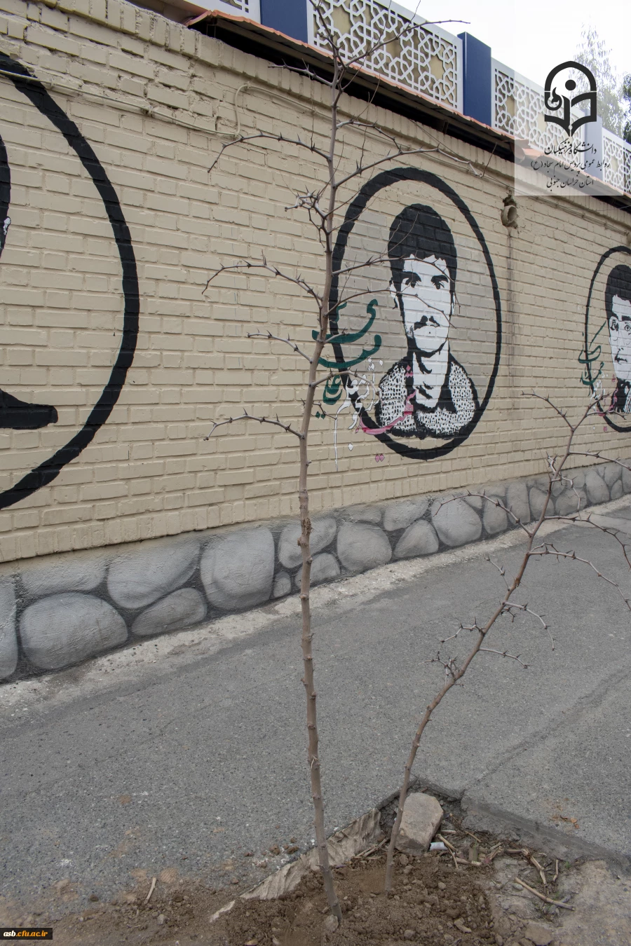 کاشت نهال در محوطه پردیس امام سجاد  (ع) به مناسبت روز درختکاری 3