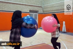 برگزاری جشنواره ورزشی جام فجر در پردیس امام سجاد (ع) خراسان جنوبی   2