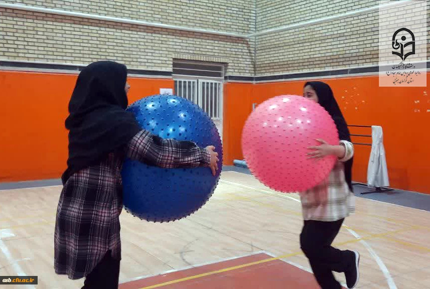 برگزاری جشنواره ورزشی جام فجر در پردیس امام سجاد (ع) خراسان جنوبی   2