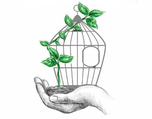 آزادی زندانی با کمک گروه جهادی بعثنا 3