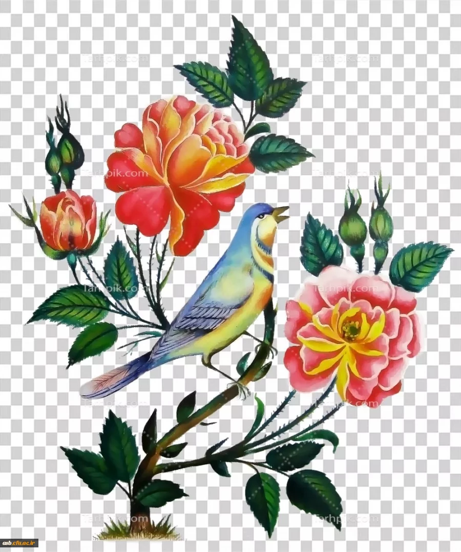 "پیام تسلیت مینو میری، رئیس پردیس امام سجاد (ع) به مردم بندر عباس و ایران" 2