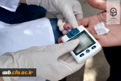 برگزاری کارگاه آموزشی سلامت باروری و بیماری های زنان به مناسبت هفته سلامت 3