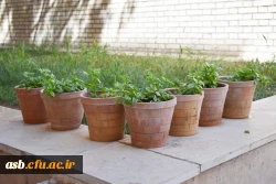  اقدامات پردیس امام سجاد(ع) در راستای اجرای طرح «فرصت مهر»
 8